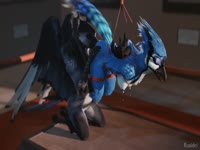 Blue bird got banged while tied in a museum